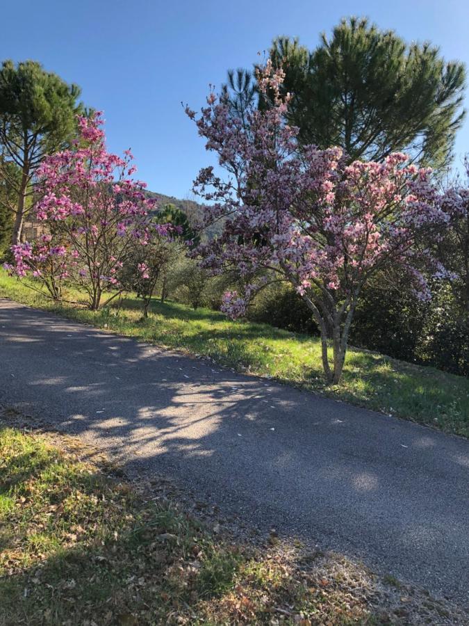 Manoir De Champvert