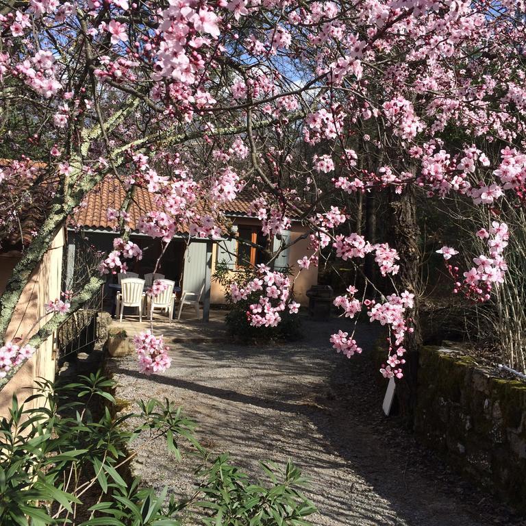 Holiday home Manoir De Champvert *